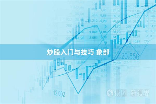 炒股入门与技巧 象部