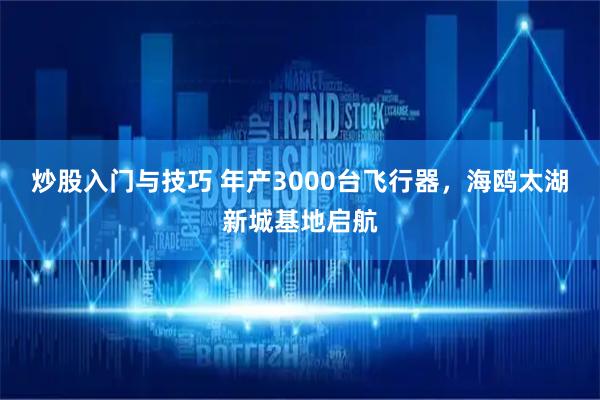 炒股入门与技巧 年产3000台飞行器，海鸥太湖新城基地启航