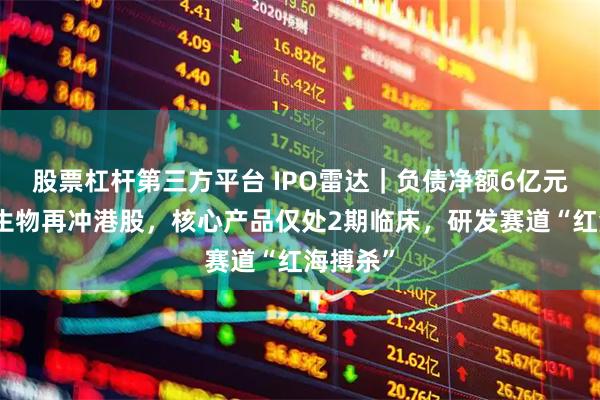 股票杠杆第三方平台 IPO雷达｜负债净额6亿元！泰励生物再冲港股，核心产品仅处2期临床，研发赛道“红海搏杀”